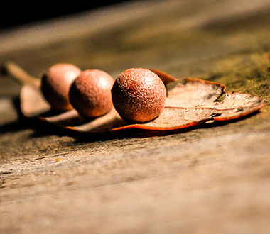 呼叫TA急速系统